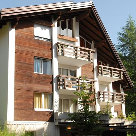 Charming And Cosy Apartment Murren Exterior photo